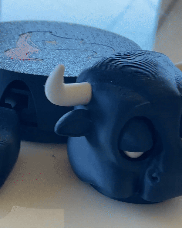 Houston Texans Toro coaster with popup eyes